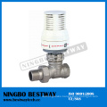 New Electric Radiator Valve (BW-R04)